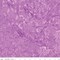 Fabric Riley Blake Razzmic Berry Hand Dyed Batiks by the Quarter Yard BT21000-174